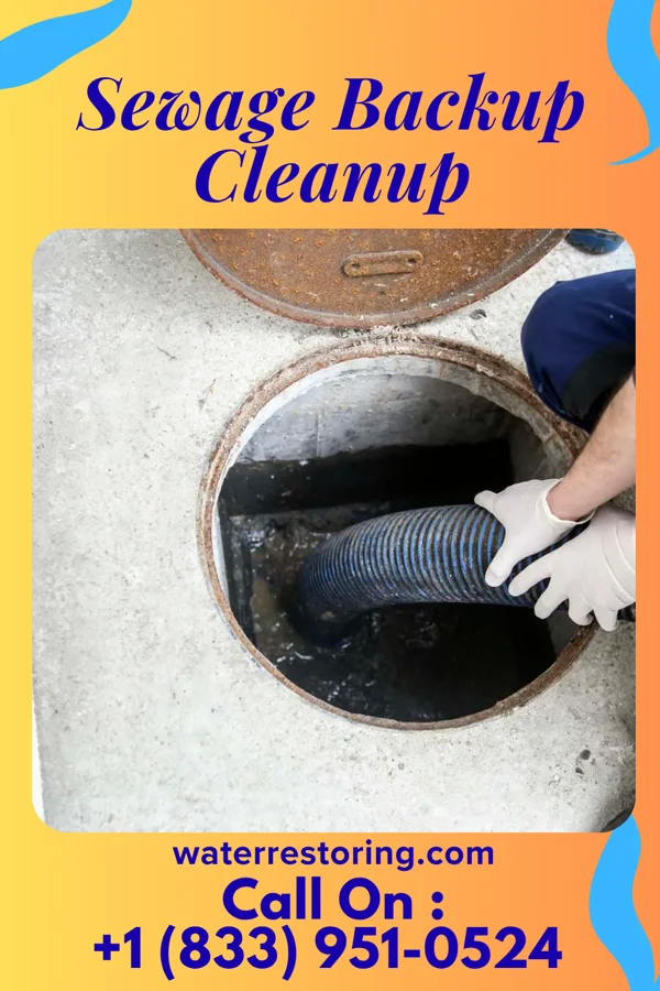 Sewage Backup Cleanup in Shaw, MS